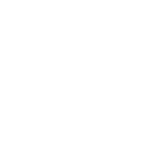 NineXP Logo